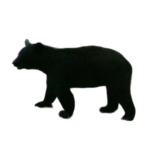 animal, creature, staff, weapon transparent PNG cut-out