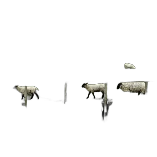 animal, weapon, furniture, creature transparent PNG cut-out