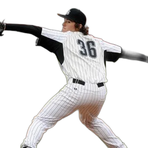 hair, animal, creature, baseball transparent PNG cut-out