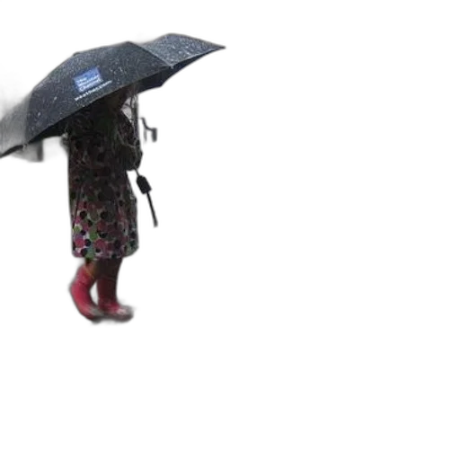 umbrella, dress, jacket, hat transparent PNG cut-out