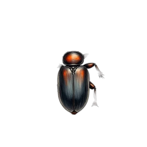 animal, creature, robot, staff transparent PNG cut-out