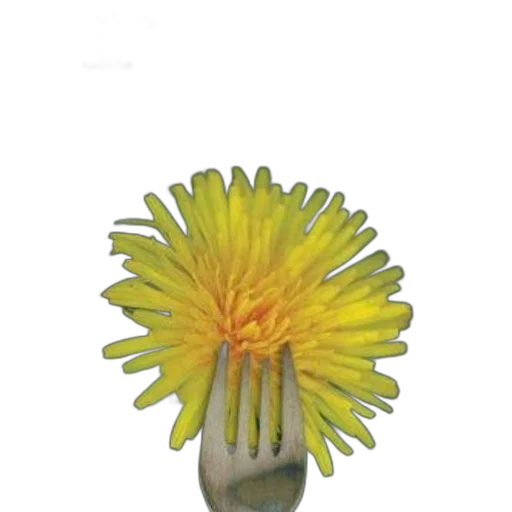 flower, staff, hair, crown transparent PNG cut-out