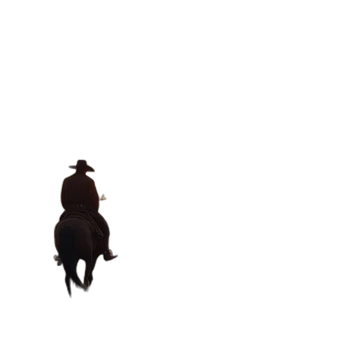 animal, hat, robot, creature transparent PNG cut-out