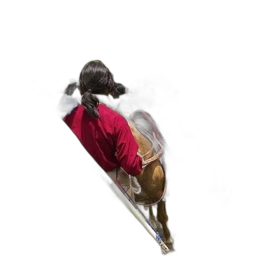 staff, jacket, hair, animal transparent PNG cut-out