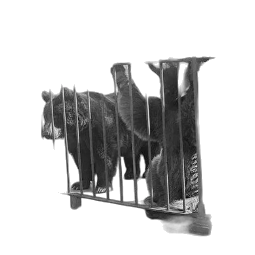 animal, furniture, staff, creature transparent PNG cut-out
