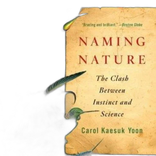 cover, naming, nature, clash transparent PNG cut-out