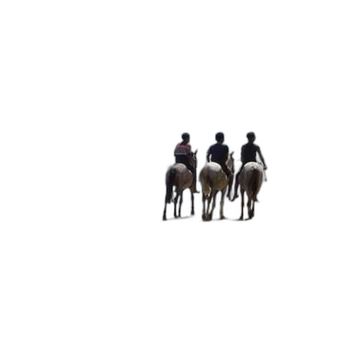 staff, animal, furniture, hat transparent PNG cut-out
