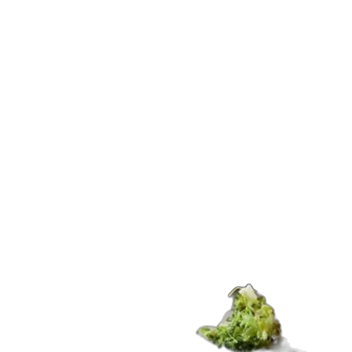 food, creature, animal, hair transparent PNG cut-out