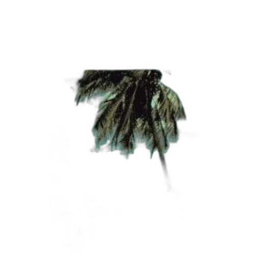 hair, tree, umbrella, hat transparent PNG cut-out
