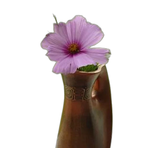bottle, flower, crown, jewelry transparent PNG cut-out