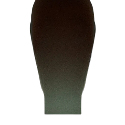 bottle, shoes, dress, hat transparent PNG cut-out