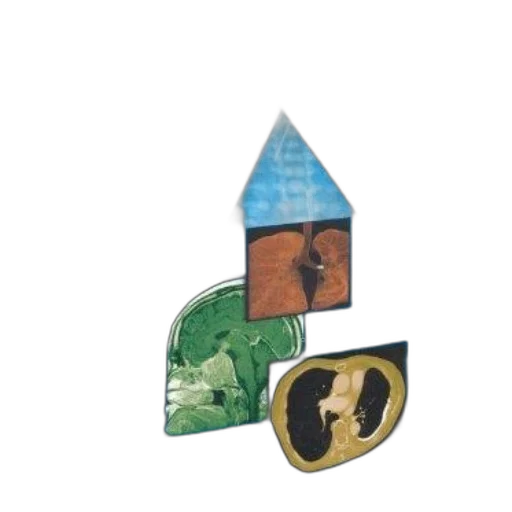 crown, jewelry, hat, umbrella transparent PNG cut-out