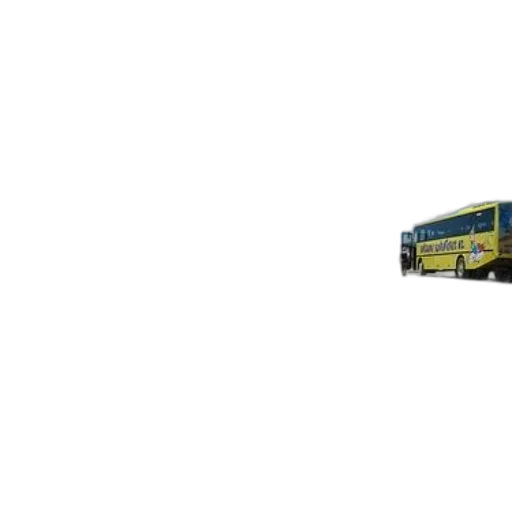 car, staff, animal, furniture transparent PNG cut-out