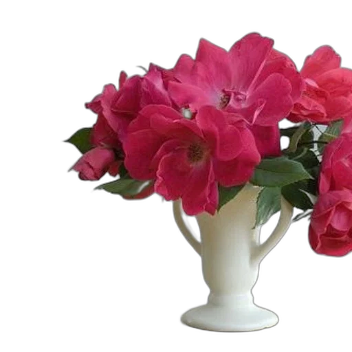 flower, crown, jewelry, photorealistic transparent PNG cut-out