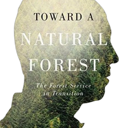 forest, cover, toward, natural transparent PNG cut-out