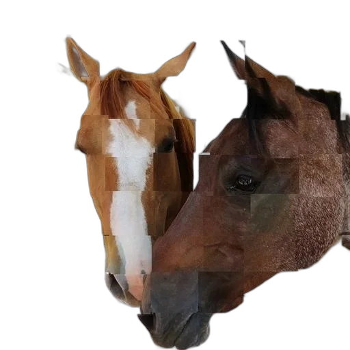 animal, mask, hat, face transparent PNG cut-out