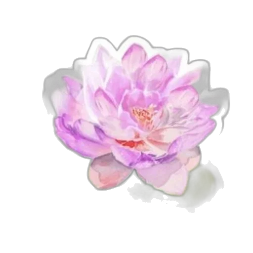 flower, crown, jewelry, photorealistic transparent PNG cut-out