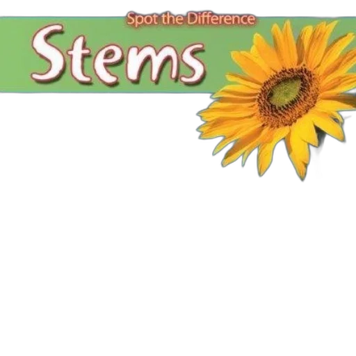 staff, flower, 3d render, earth tones transparent PNG cut-out