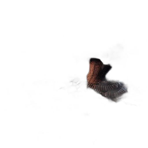 shoes, hat, animal, creature transparent PNG cut-out
