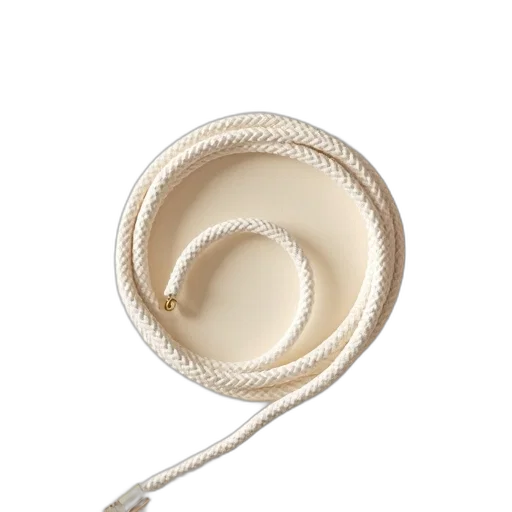 hat, jewelry, food, hair transparent PNG cut-out