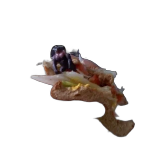 creature, dragon, animal, food transparent PNG cut-out