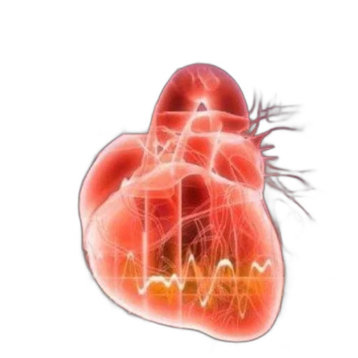 crown, cover, cardiovascular, physiology transparent PNG cut-out
