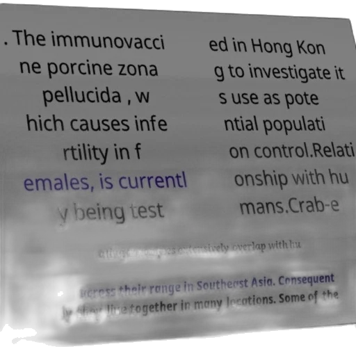 umbrella, image, text-based, document transparent PNG cut-out