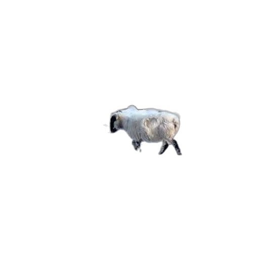 animal, creature, robot, car transparent PNG cut-out