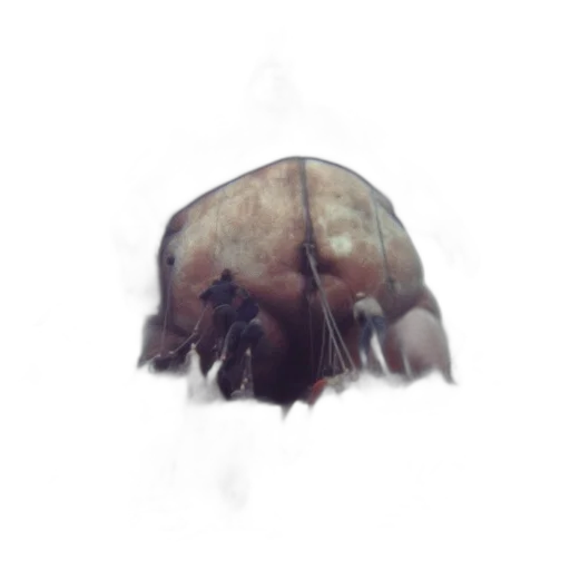 creature, face, hair, mask transparent PNG cut-out