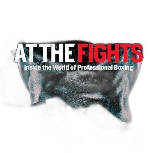 fights, inside, world, professional transparent PNG cut-out