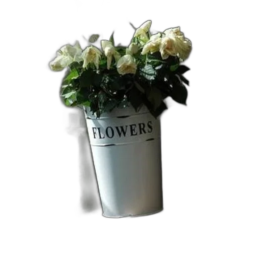 flower, crown, jewelry, staff transparent PNG cut-out