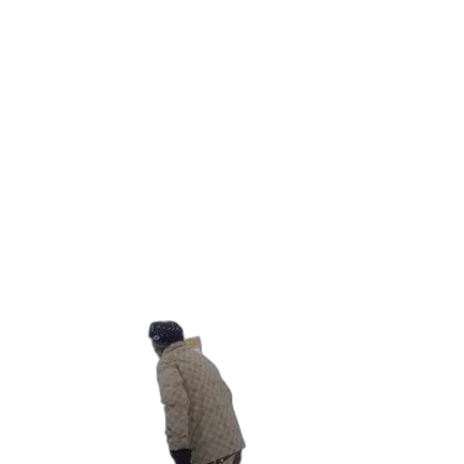 jacket, staff, hat, robot transparent PNG cut-out