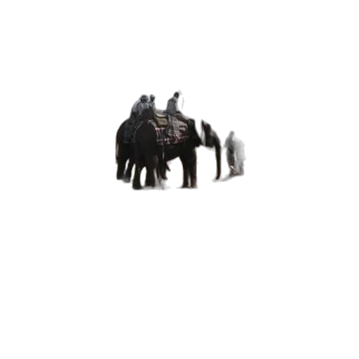 animal, creature, dragon, weapon transparent PNG cut-out