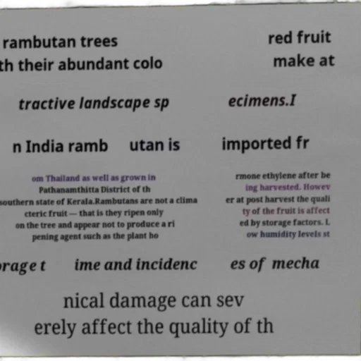 tree, red, earth tones, text-based transparent PNG cut-out