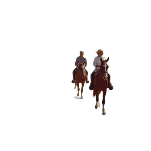 hat, animal, staff, pixel art transparent PNG cut-out