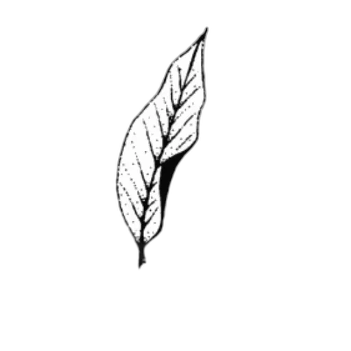 tree, staff, flower, crown transparent PNG cut-out