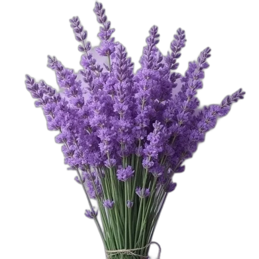 flower, crown, staff, weapon transparent PNG cut-out