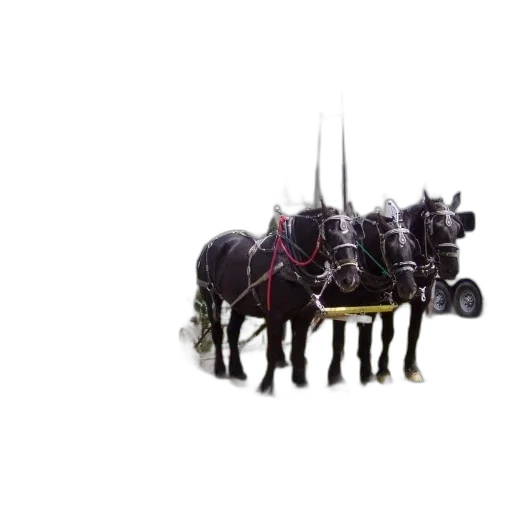 animal, staff, car, weapon transparent PNG cut-out