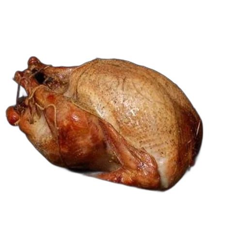 food, animal, creature, hat transparent PNG cut-out