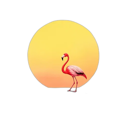 animal, hat, jacket, creature transparent PNG cut-out