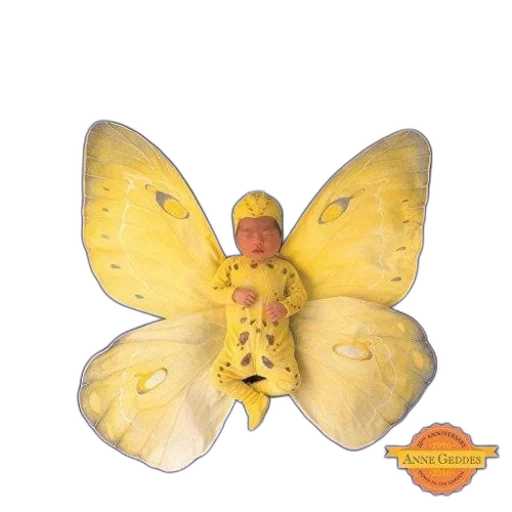 creature, animal, flower, jewelry transparent PNG cut-out