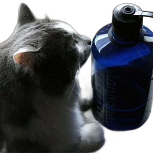 bottle, animal, photorealistic, gray transparent PNG cut-out
