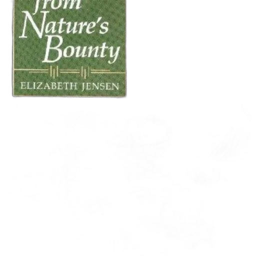 jewelry, forest, earth tones, book transparent PNG cut-out