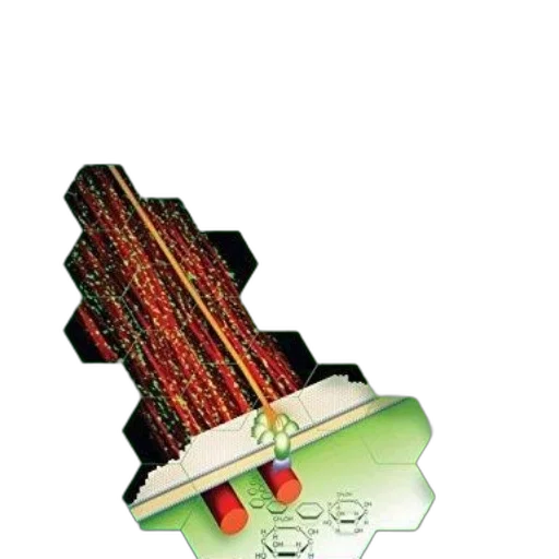 jewelry, crown, staff, weapon transparent PNG cut-out