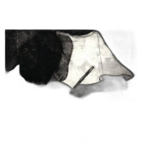 mask, umbrella, hat, jacket transparent PNG cut-out