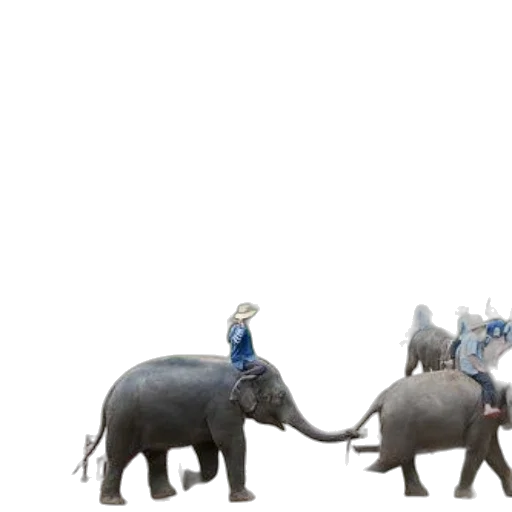 animal, staff, concept art, 3d render transparent PNG cut-out