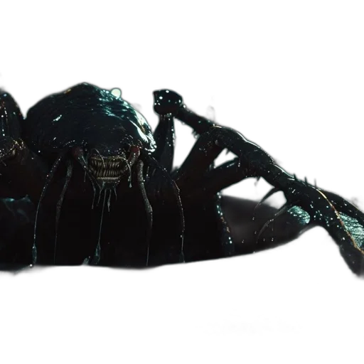 creature, animal, hair, mask transparent PNG cut-out