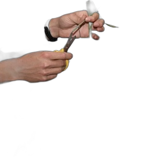 staff, weapon, jewelry, sword transparent PNG cut-out