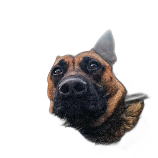 staff, face, animal, hat transparent PNG cut-out