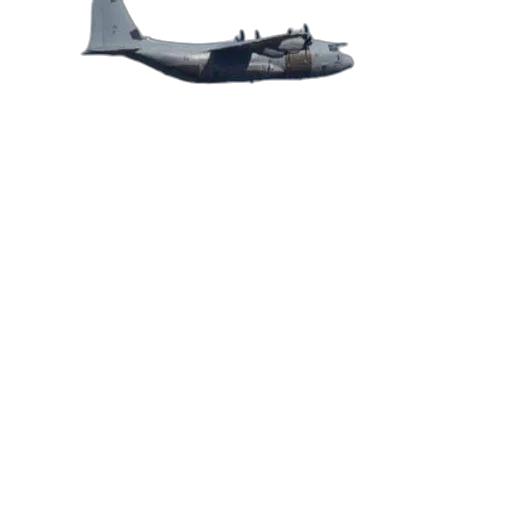 weapon, animal, dragon, staff transparent PNG cut-out